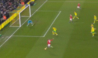 动画 (397).gif
